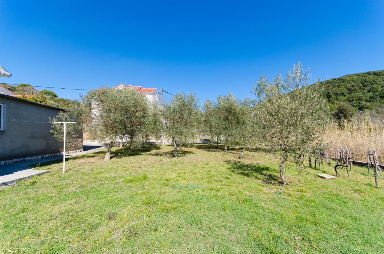 Apartments Vesna Kampor Екстер'єр фото